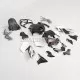 Kawasaki Z900 2020-2024 Fairing P/N 4BG5
