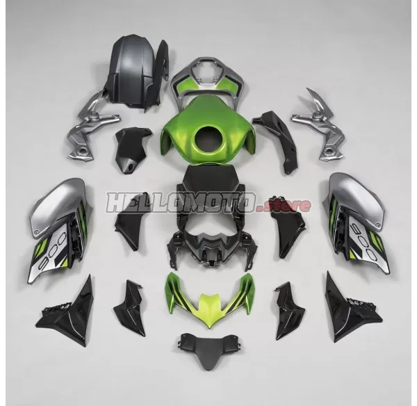 Kawasaki Z900 2020-2024 Fairing P/N 4BG6