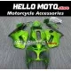 Kawasaki ZX-12R 2000-2001 Fairing P/N 4AY1