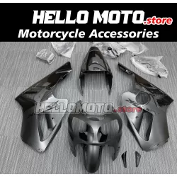 Kawasaki ZX-12R 2000-2001 Fairing P/N 4AY2
