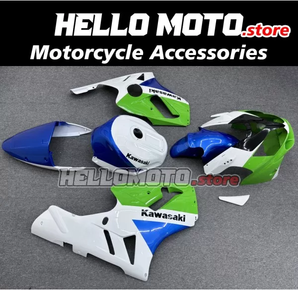 Kawasaki ZX-12R 2002-2006 Fairing P/N 4P5