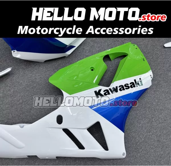 Kawasaki ZX-12R 2002-2006 Fairing P/N 4P5