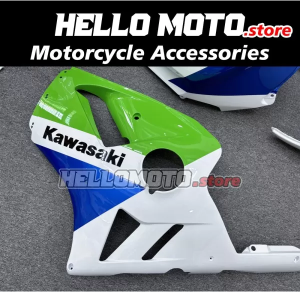 Kawasaki ZX-12R 2002-2006 Fairing P/N 4P5