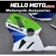 Kawasaki ZX-12R 2002-2006 Fairing P/N 4P5