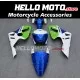 Kawasaki ZX-12R 2002-2006 Fairing P/N 4P5