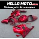 Kawasaki ZX-12R 2002-2006 Fairing P/N 4P1