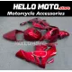 Kawasaki ZX-12R 2002-2006 Fairing P/N 4P1