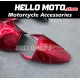 Kawasaki ZX-12R 2002-2006 Fairing P/N 4P1