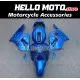 Kawasaki ZX-12R 2002-2006 Fairing P/N 4P6
