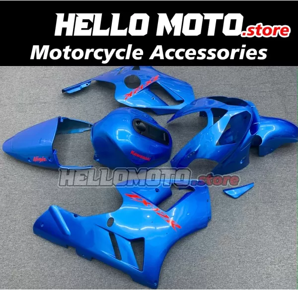 Kawasaki ZX-12R 2002-2006 Fairing P/N 4P6