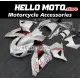 Kawasaki ZX-14R 2006-2011 Fairing P/N 4Q5