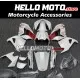 Kawasaki ZX-14R 2006-2011 Fairing P/N 4Q5