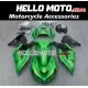 Kawasaki ZX-14R 2012-2024 Fairing P/N 4R1