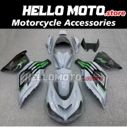 Kawasaki ZX-14R 2012-2024 Fairing P/N 4R9