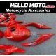 Kawasaki Ninja ZX-4RR 2023-2026 Fairing P/N 4BK3