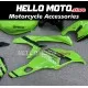 Kawasaki Ninja ZX-4RR 2023-2026 Fairing P/N 4BK7