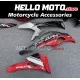Kawasaki Ninja ZX-4RR 2023-2026 Fairing P/N 4BK9