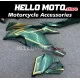 Kawasaki Ninja ZX-25R 2020-2026 Fairing P/N 4AV12