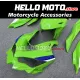 Kawasaki Ninja ZX-4RR 2023-2026 Fairing P/N 4BK13 Kawasaki Ninja ZX-4RR 2023-2026 Fairing P/N 4BK13