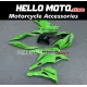 Kawasaki Ninja ZX-4RR 2023-2026 Fairing P/N 4BK16