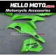Kawasaki Ninja ZX-4RR 2023-2026 Fairing P/N 4BK16