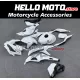 Kawasaki Ninja ZX-4RR 2023-2026 Fairing P/N 4BK17