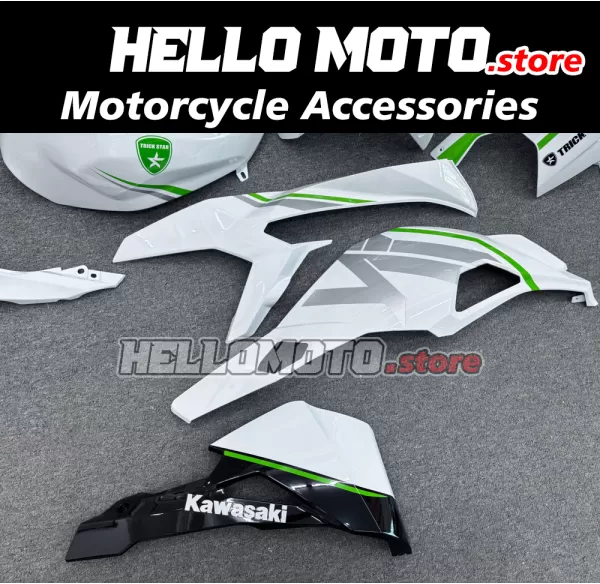 Kawasaki Ninja ZX-4RR 2023-2026 Fairing P/N 4BK18