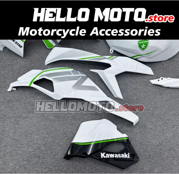 Kawasaki Ninja ZX-4RR 2023-2026 Fairing P/N 4BK18