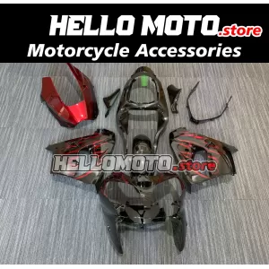Kawasaki ZX-9R 2000-2001 Fairing P/N 4T1