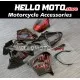 Kawasaki ZX-9R 2000-2001 Fairing P/N 4T1