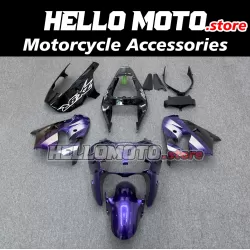 Kawasaki ZX-9R 2002-2003 Fairing P/N 4U1