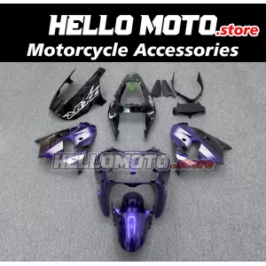 Kawasaki ZX-9R 2002-2003 Fairing P/N 4U1