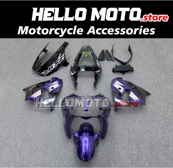 Kawasaki ZX-9R 2002-2003 Fairing P/N 4U1