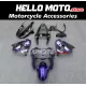 Kawasaki ZX-9R 2002-2003 Fairing P/N 4U1