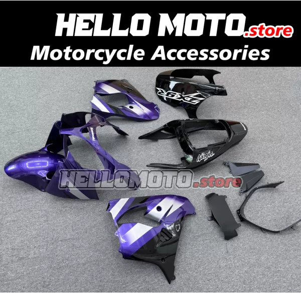 Kawasaki ZX-9R 2002-2003 Fairing P/N 4U1