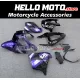 Kawasaki ZX-9R 2002-2003 Fairing P/N 4U1