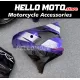 Kawasaki ZX-9R 2002-2003 Fairing P/N 4U1