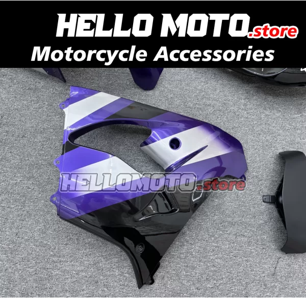 Kawasaki ZX-9R 2002-2003 Fairing P/N 4U1