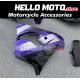 Kawasaki ZX-9R 2002-2003 Fairing P/N 4U1