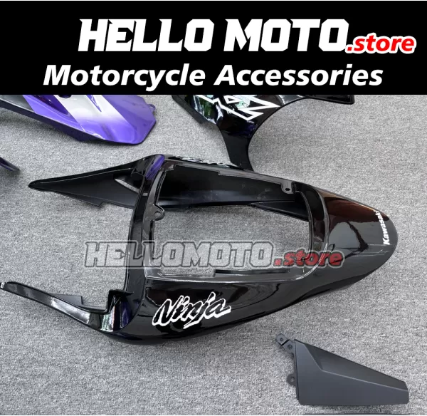 Kawasaki ZX-9R 2002-2003 Fairing P/N 4U1