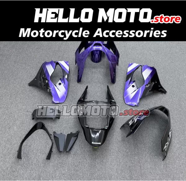Kawasaki ZX-9R 2002-2003 Fairing P/N 4U1