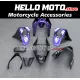 Kawasaki ZX-9R 2002-2003 Fairing P/N 4U1