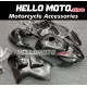 Suzuki Hayabusa GSX1300R 1999-2007 Fairing P/N 2AA5