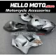 Suzuki Hayabusa GSX1300R 1999-2007 Fairing P/N 2AA25 Suzuki Hayabusa GSX1300R 1999-2007 Fairing P/N 2AA25