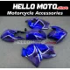 Suzuki Hayabusa GSX1300R 1999-2007 Fairing P/N 2AA29