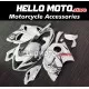 Suzuki Hayabusa GSX1300R 2008-2020 Fairing P/N 2P1 Suzuki Hayabusa GSX1300R 2008-2020 Fairing P/N 2P1