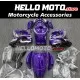 Suzuki Hayabusa GSX1300R 2008-2020 Fairing P/N 2P12