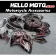 Suzuki Hayabusa GSX1300R 2008-2020 Fairing P/N 2P16 Suzuki Hayabusa GSX1300R 2008-2020 Fairing P/N 2P16