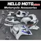 Suzuki Hayabusa GSX1300R 2008-2020 Fairing P/N 2P23