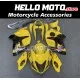 Suzuki Hayabusa GSX1300R 2008-2020 Fairing P/N 2P36